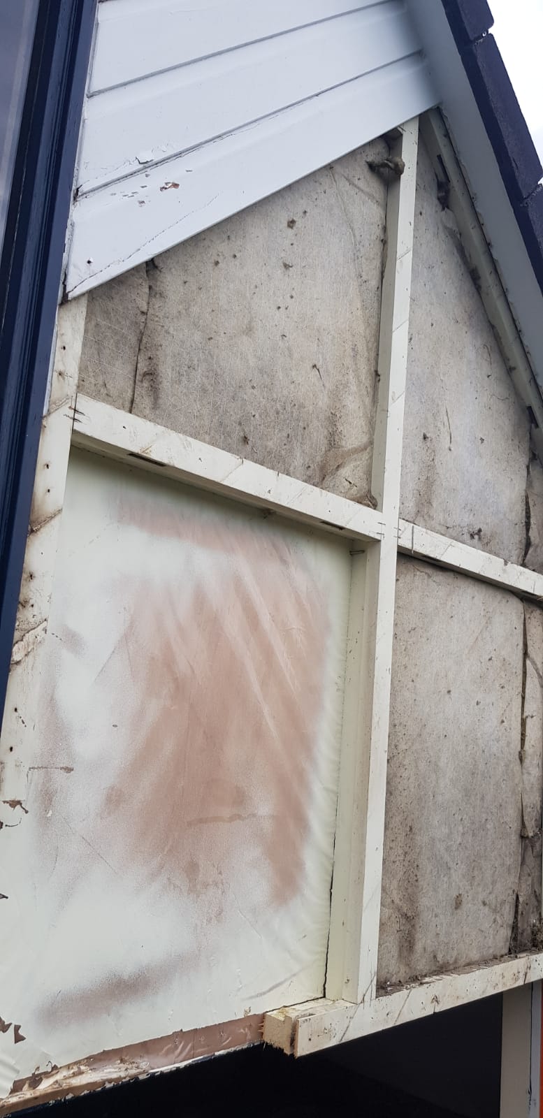 190618_Almere_Muziekwijk 5.jpeg